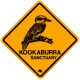 Kookaburra 