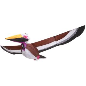 Pelican 3D