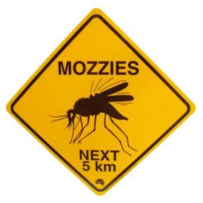 mozzies