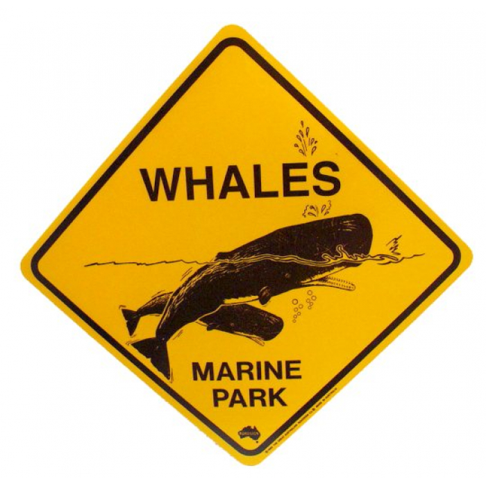 Whales 
