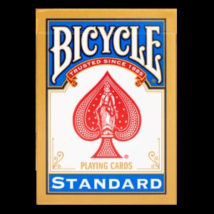 bicycle-rider-back-standbleuard-