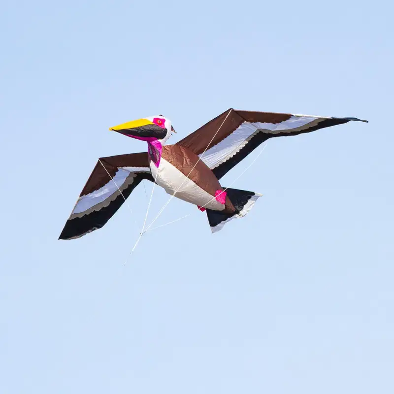 hq-pelican-3d