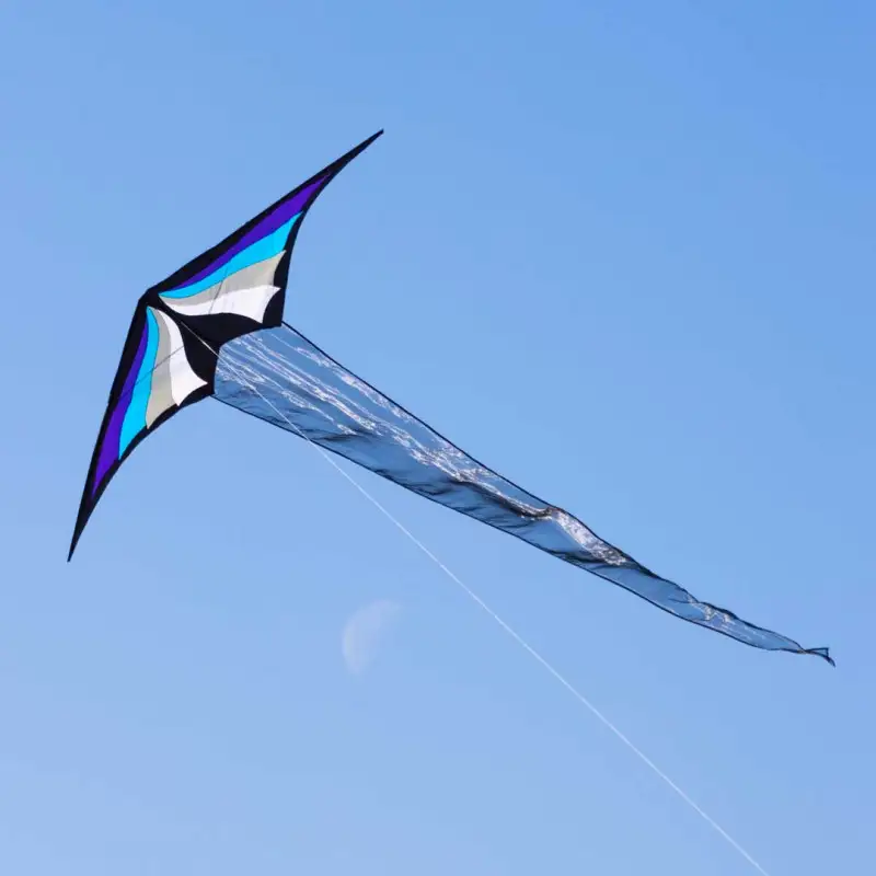 cerf-volant-brasington-hq-glace-200cm-x-70cm (2)