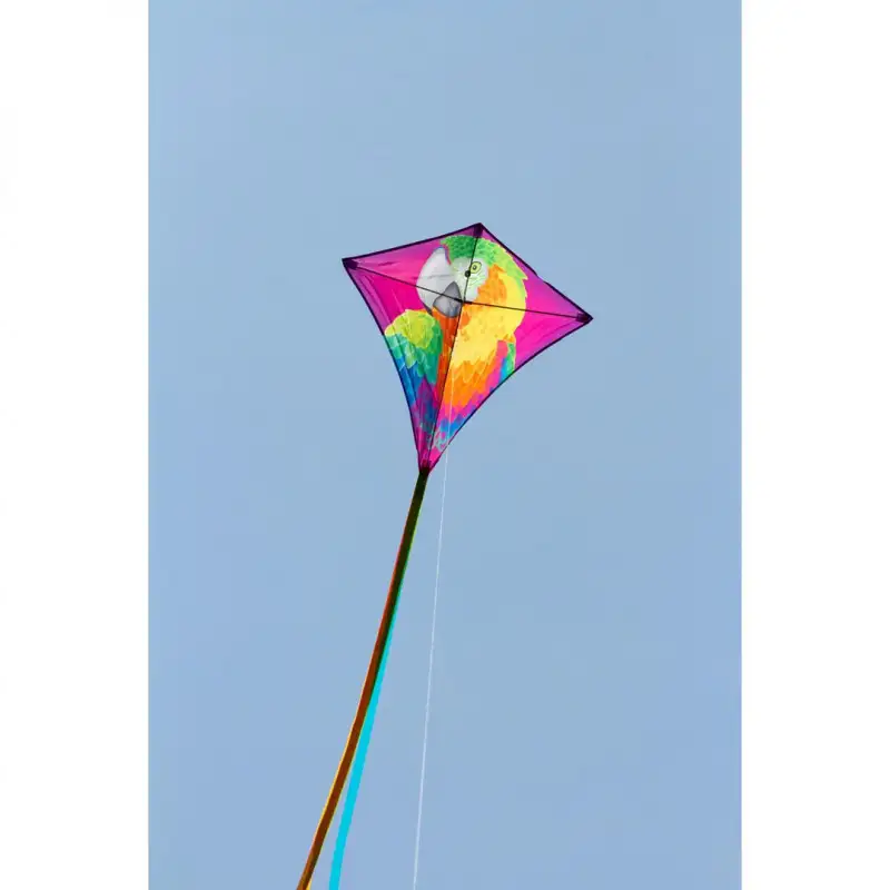 eddy-hq-parrot-68 (1) eddy-hq-parrot-68 (1)