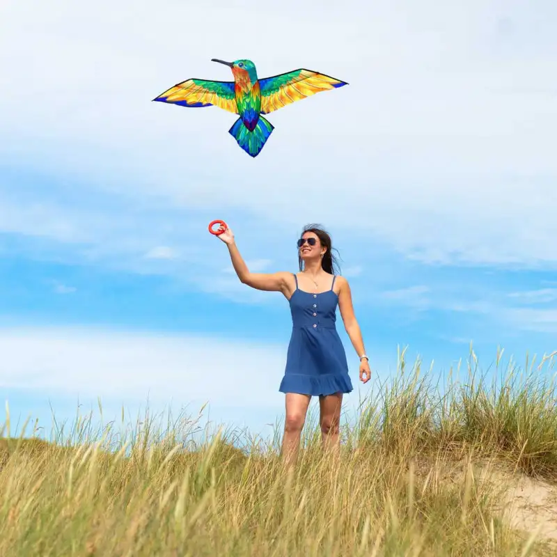 cerf-volant-monofil-hq-colibri-175cm-x-80cm (1) cerf-volant-monofil-hq-colibri-175cm-x-80cm (1)