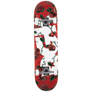dgk-complete-75-bloom dgk-complete-75-bloom